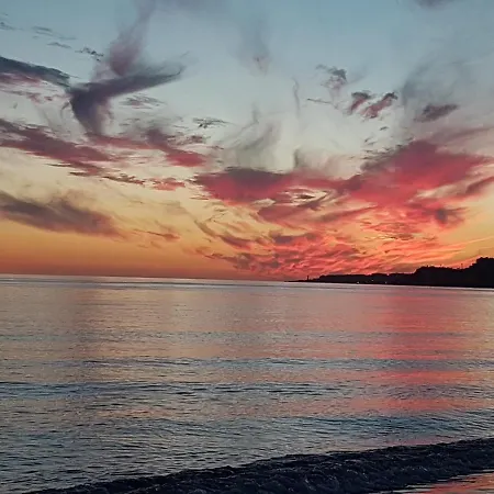 Mangos Scandinavian Living 네르하