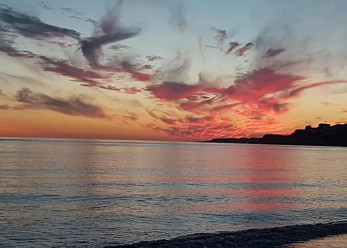 Mangos Scandinavian Living 네르하